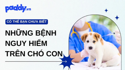 "Những Bệnh Nguy Hiểm Trên Chó Con" class=