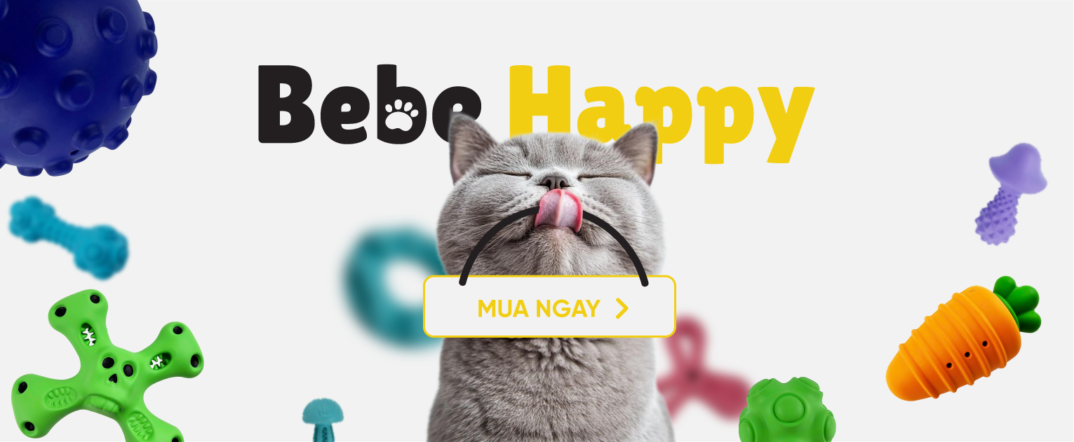 BeBe Happy